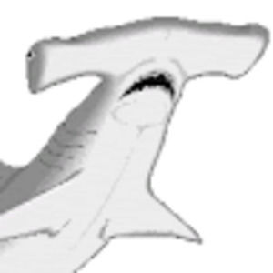 Meet your Posher, Hammer